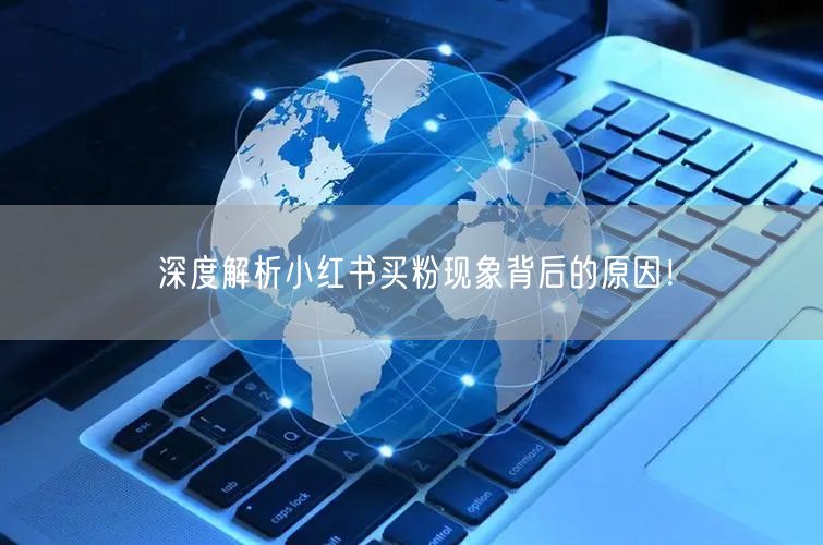 深度解析小红书买粉现象背后的原因！