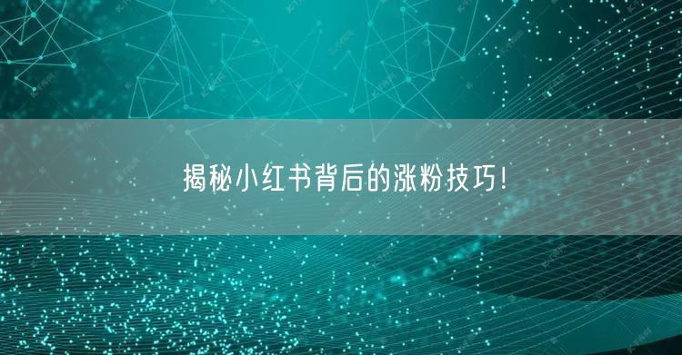 揭秘小红书背后的涨粉技巧！