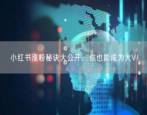小红书涨粉秘诀大公开，你也能成为大V！