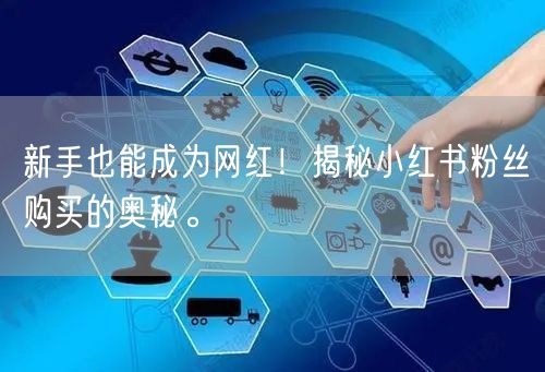 新手也能成为网红！揭秘小红书粉丝购买的奥秘。